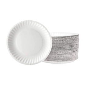 Paper Plate